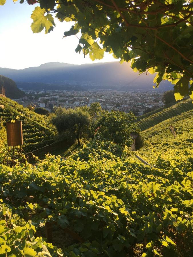 Апартаменты Weingut Eberlehof Больцано Экстерьер фото